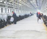 全国牛业大会海南召开 海口牛肉价格涨破40元/斤