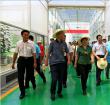 陵水现代农业示范基地揭牌 打造海南特色高效精品农业