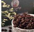 哥斯达黎加咖啡的精品之路：种植有机咖啡