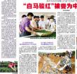 琼中乌石农场精心打造“白马岭”茶系列产品(图)