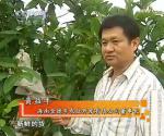 视频: 商道 海南金德丰农业开发有限公司 - 听话的摇钱树