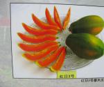 天御果  红日系列木瓜