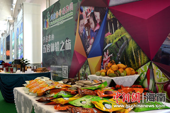 兴隆热带植物园形象展台