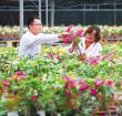 热带露地花卉品种筛选及高效栽培技术示范被验收