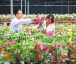 热带露地花卉品种筛选及高效栽培技术示范被验收
