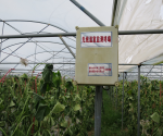 东方新龙哈密瓜农业科技示范基地 监测设备