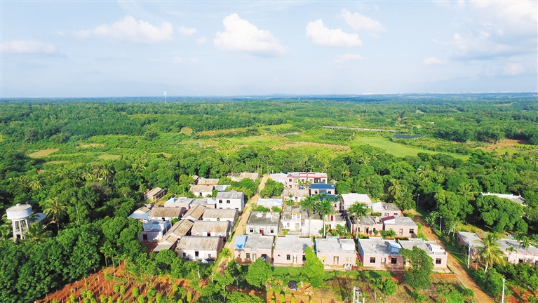 鸟瞰海口市琼山区大坡镇塔昌村.